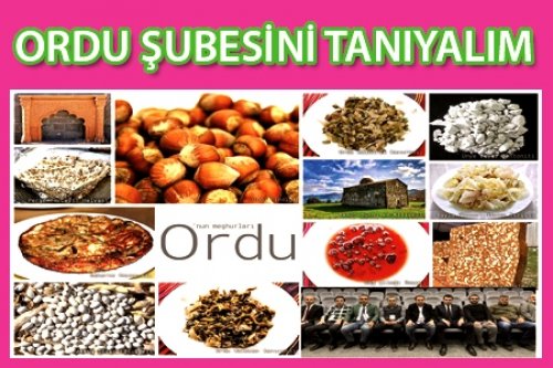 ORDU  ŞUBESİNİ TANIYALIM 2024