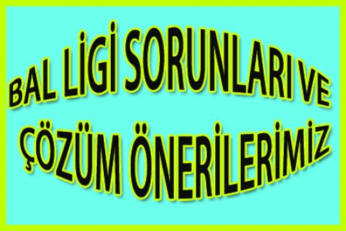 BAL LİGİ SORUNLARI VE ÇÖZÜM ÖNERİLERİMİZ