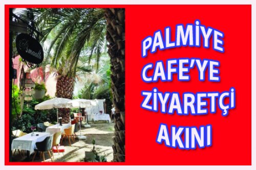 PALMİYE CAFE'ZE ZİYARETÇİ AKINI
