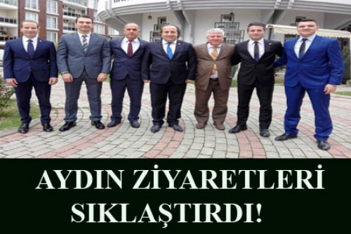AYDIN'DAN BİR DİZİ ZİYARET