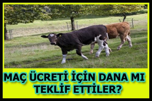 BU DERNEK GELİRLERİNİ NEREDEN SAĞLIYOR?