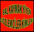 HANGİ GÖZLEMCİLER BAL KAYMAK YİYOR?