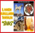 İL HAKEM KURULLARINI TANIYALIM/SİVAS