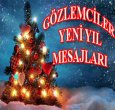 GÖZLEMCİLERDEN YENİ YIL MESAJI 2016